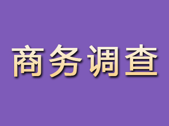 榕城商务调查